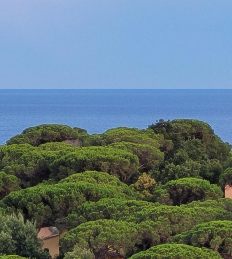 Villa Palm' Issambres 6-7 Personnes, Clim, Avec Piscine, Jardin Et Parking Prives La Garonnette-Plage Exterior photo