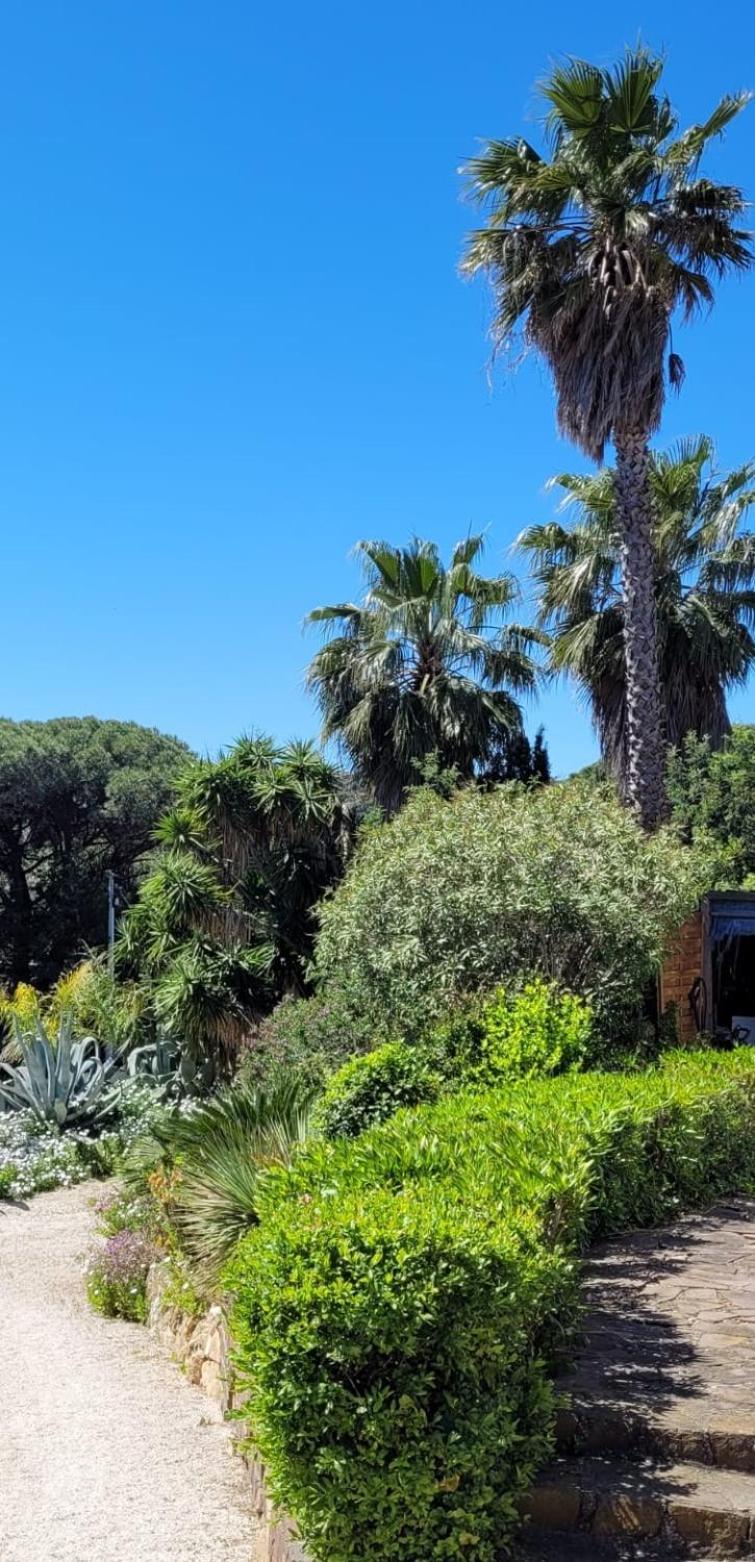 Villa Palm' Issambres 6-7 Personnes, Clim, Avec Piscine, Jardin Et Parking Prives La Garonnette-Plage Exterior photo